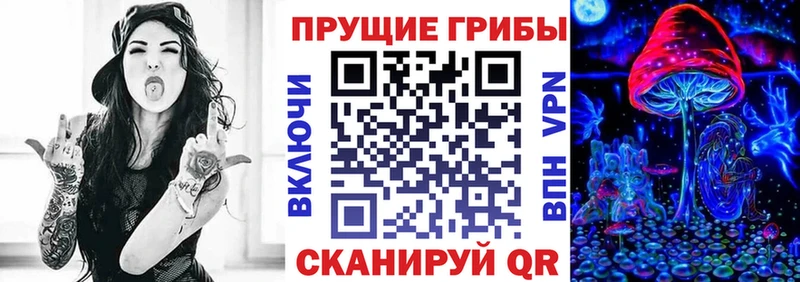 Галлюциногенные грибы Psilocybine cubensis  что такое   Новая Ладога 