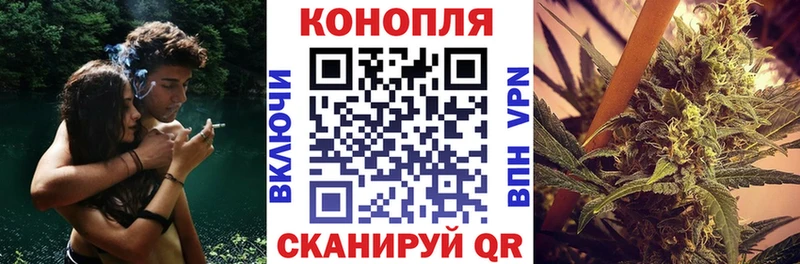 Бошки Шишки тримм  Новая Ладога 